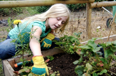 kids compost garden