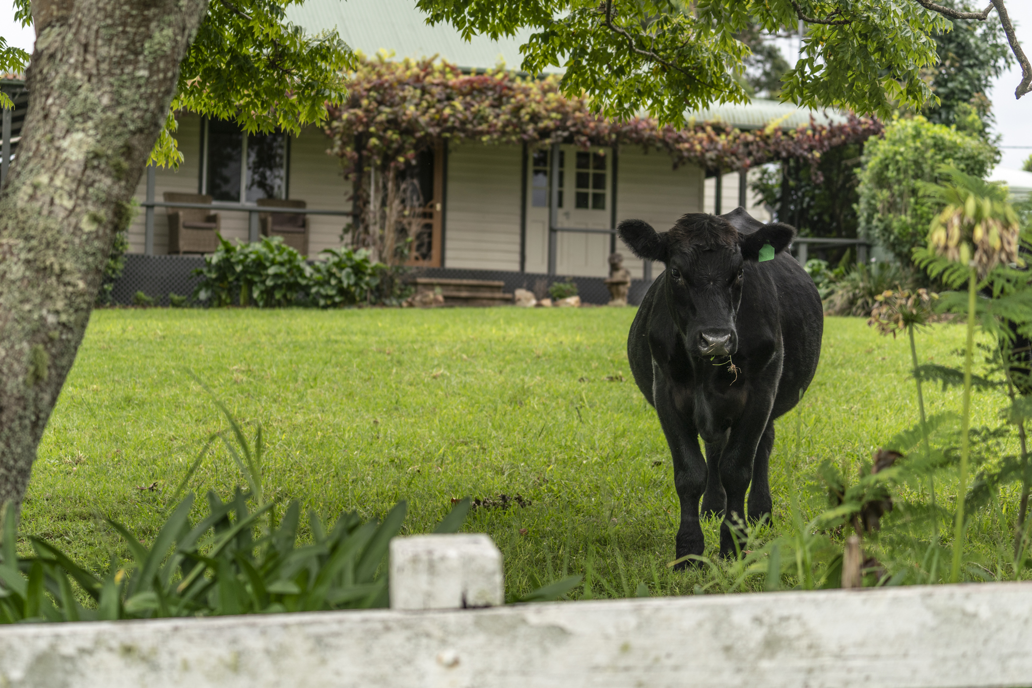 Colgate Rural Know Your Rural Zone | Have Your Say